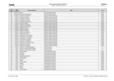 Noviny Pětka Generel dopravy 2020-2022, Strana 244-245