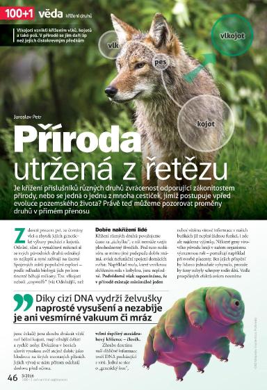 100+1 ZZ 3/2016, Strana 46