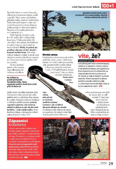 100+1 ZZ 16/2016, Strana 29