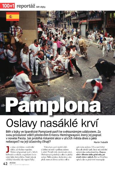 100+1 ZZ 19/2016, Strana 42