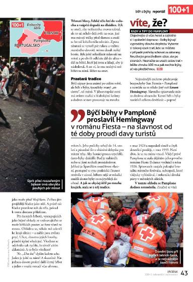 100+1 ZZ 19/2016, Strana 43