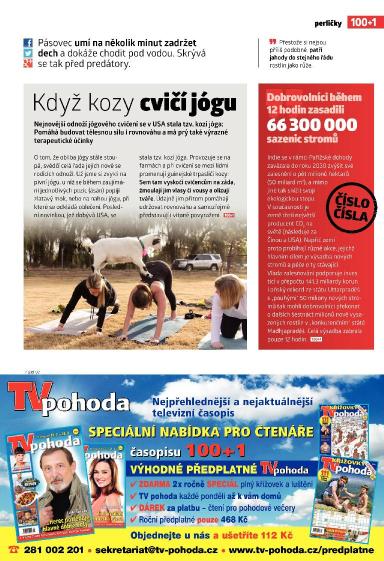 100+1 ZZ 13/2017, Strana 51