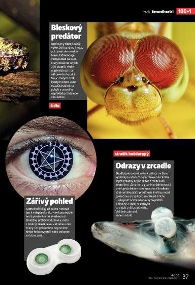 100+1 ZZ 14/2017, Strana 37