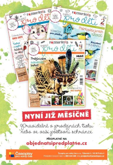 100+1 ZZ 16/2017, Strana 33