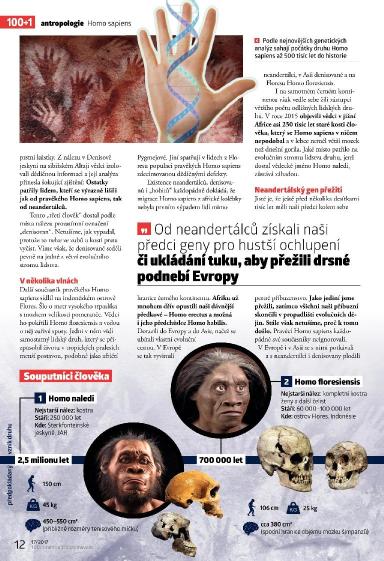 100+1 ZZ 17/2017, Strana 12