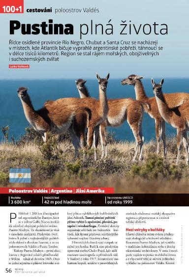 100+1 ZZ 11/2018, Strana 56