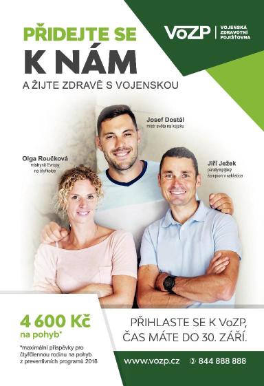 100+1 ZZ 15/2018, Strana 33