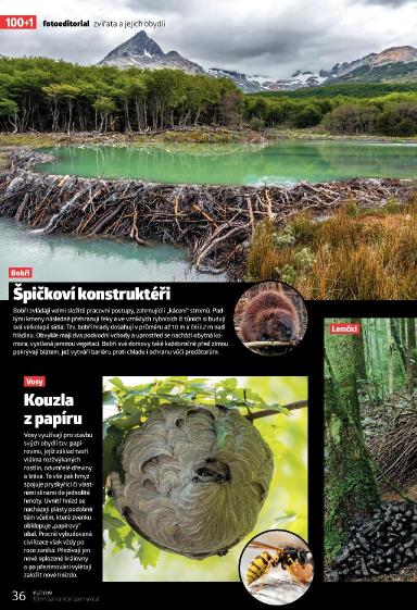100+1 ZZ 15/2019, Page 36