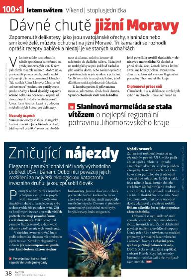 100+1 ZZ 16/2019, Page 38