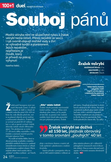 100+1 ZZ 6/2013, Page 24