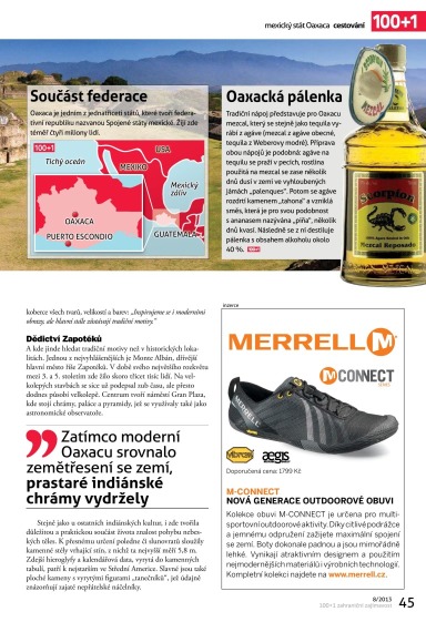 100+1 ZZ 8/2013, Page 45