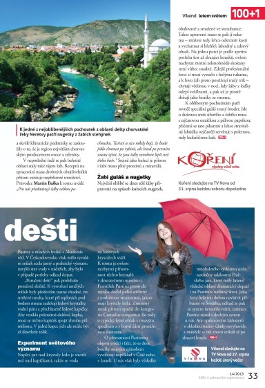 100+1 ZZ 14/2013, Page 33