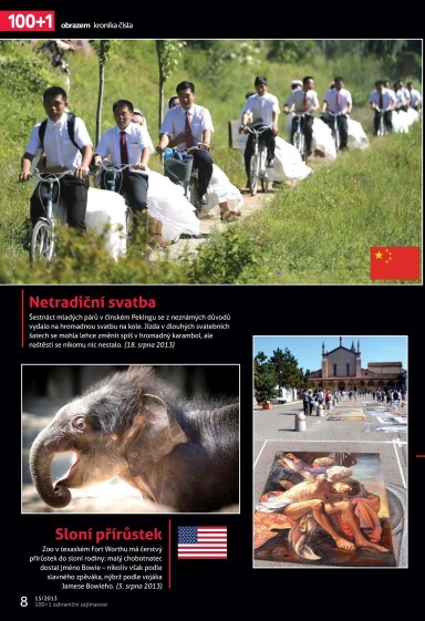 100+1 ZZ 15/2013, Page 8