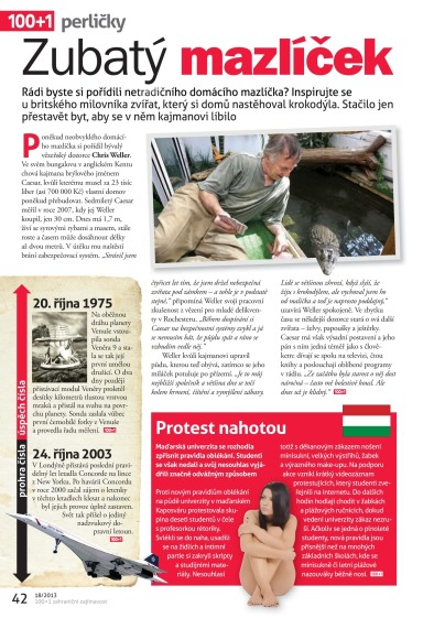 100+1 ZZ 18/2013, Page 42