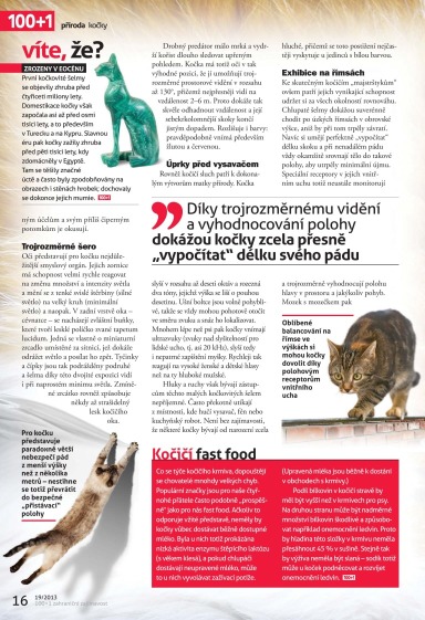 100+1 ZZ 19/2013, Page 16