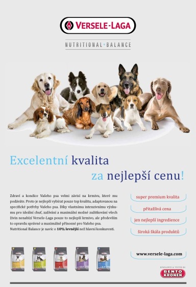 100+1 ZZ 20/2012, Strana 15