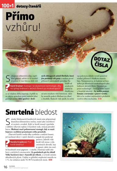 100+1 ZZ 13/2020, Strana 16