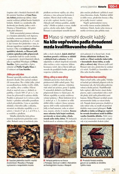 100+1 ZZ 14/2020, Strana 21