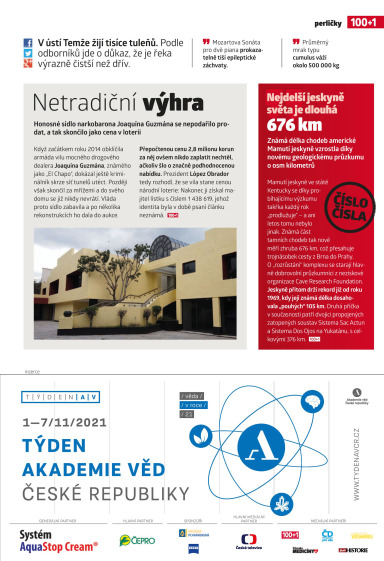 100+1 ZZ 17/2021, Strana 21
