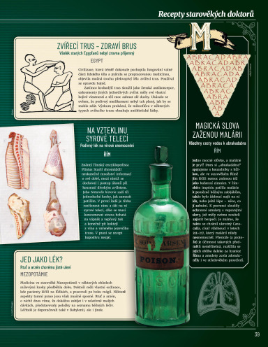 Ilustrovaná historie 11, Page 39