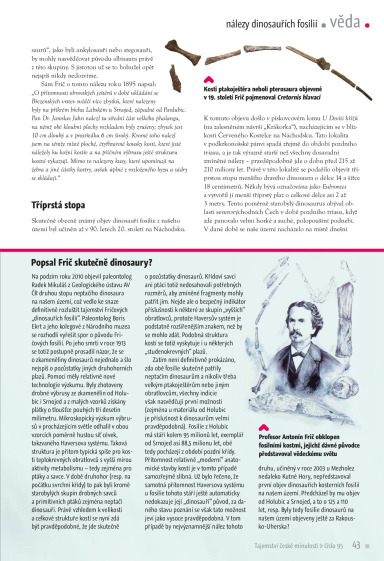 Tajemství české minulosti 95, Page 43