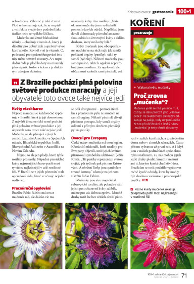 100+1 ZZ Speciál Léto 2021, Page 71