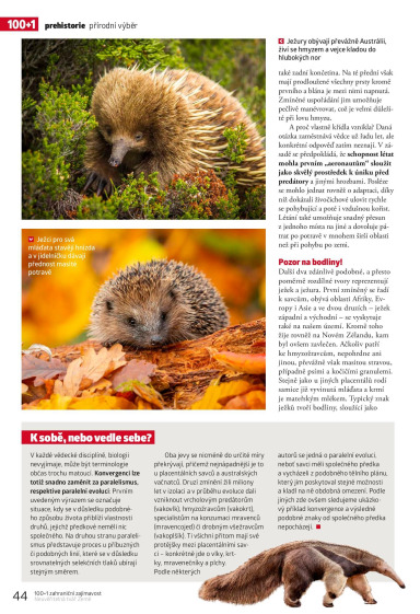 100+1 ZZ Speciál Podzim 2023, Page 44