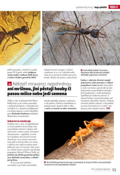 100+1 ZZ Speciál Podzim 2023, Page 55