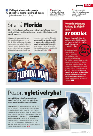 100+1 ZZ 20/2023, Strana 25