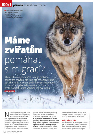 100+1 ZZ Speciál Léto 2024, Page 36