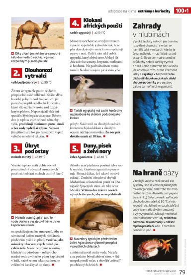 100+1 ZZ Speciál Léto 2024, Page 79