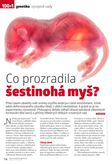 100+1 ZZ Speciál Zima 2025, Page 14