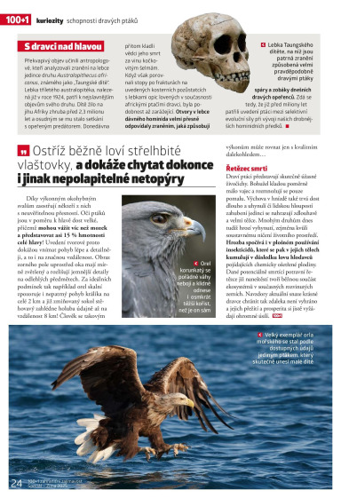 100+1 ZZ Speciál Zima 2025, Page 24