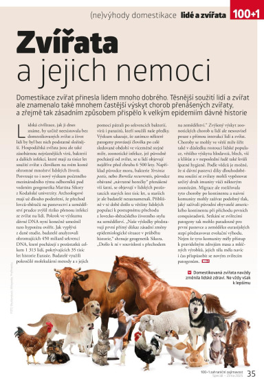 100+1 ZZ Speciál Zima 2025, Page 35
